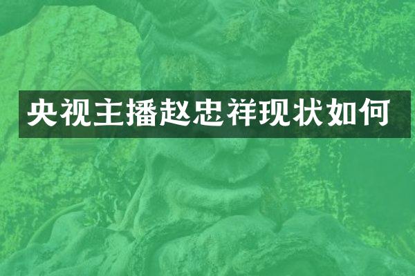 央视主播赵忠祥现状如何
