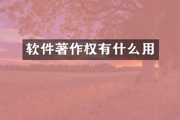 软件著作权有什么用