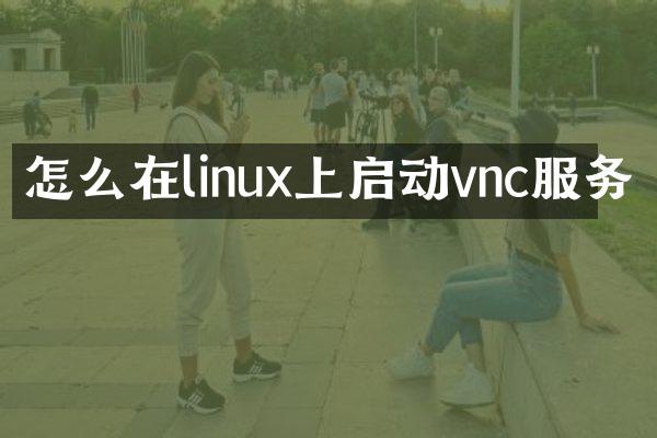 怎么在linux上启动vnc服务