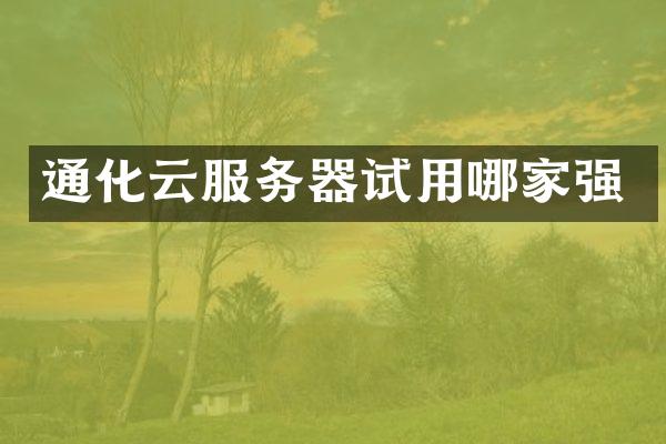 通化云服务器试用哪家强