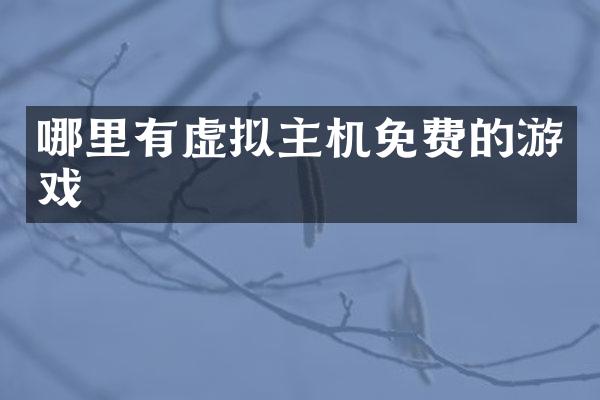 哪里有虚拟主机免费的游戏