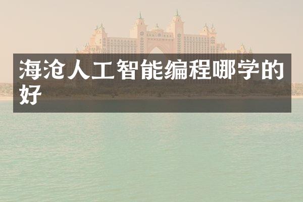 海沧人工智能编程哪学的好