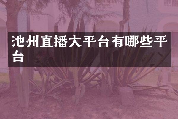 池州直播大平台有哪些平台