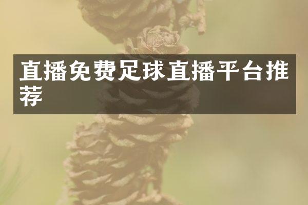直播免费足球直播平台推荐