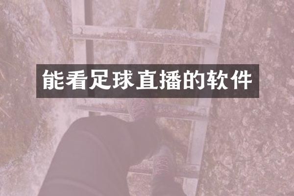 能看足球直播的软件