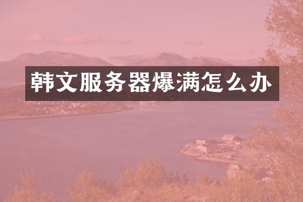 韩文服务器爆满怎么办