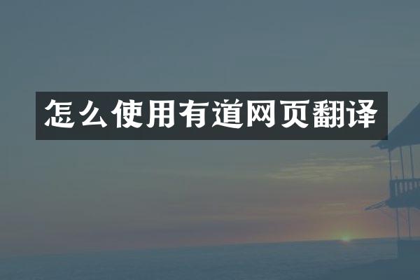 怎么使用有道网页翻译