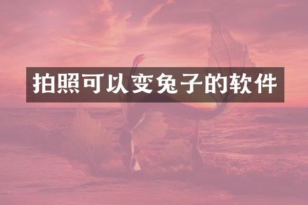 拍照可以变兔子的软件
