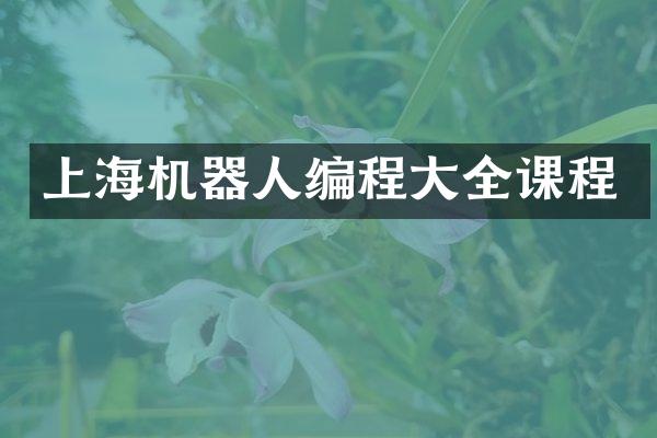 上海机器人编程大全课程