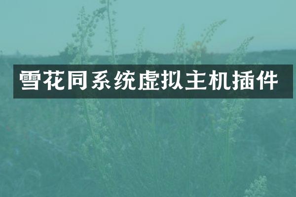 雪花同系统虚拟主机插件