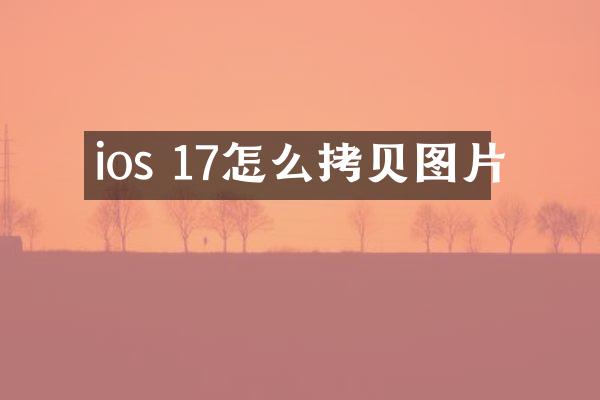 ios 17怎么拷贝图片