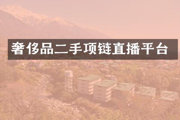 奢侈品二手项链直播平台