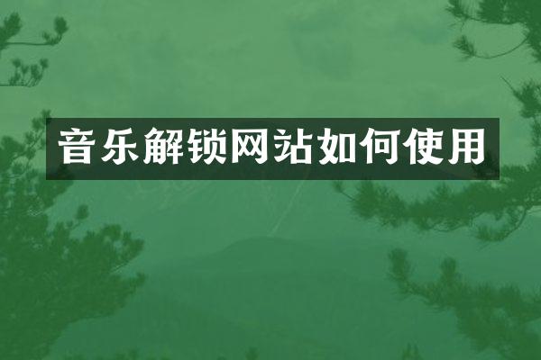 音乐解锁网站如何使用