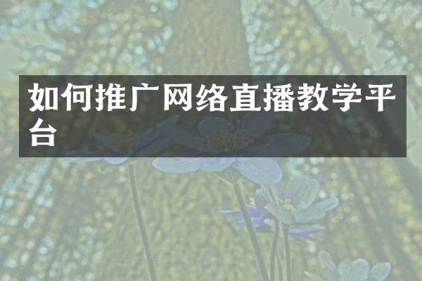 如何推广网络直播教学平台