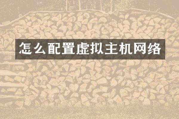 怎么配置虚拟主机网络