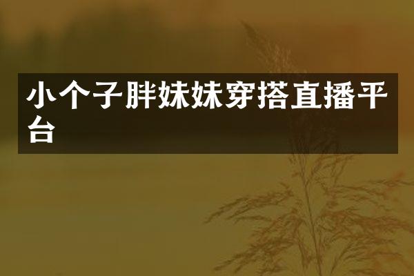 小个子胖妹妹穿搭直播平台