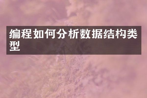 编程如何分析数据结构类型