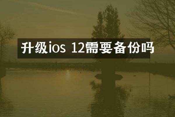 升级ios 12需要备份吗