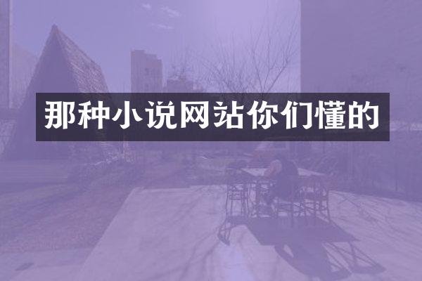那种小说网站你们懂的