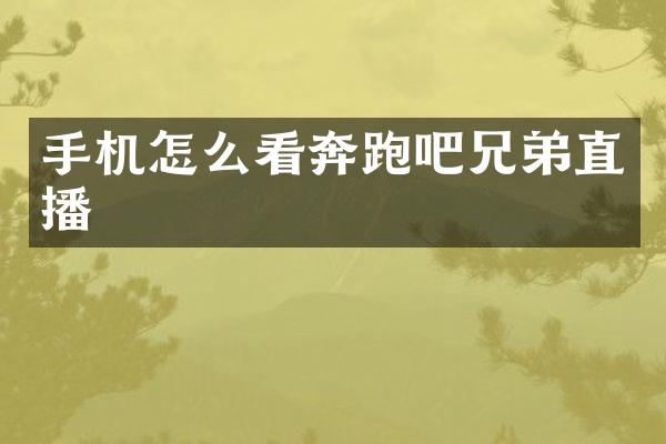 手机怎么看奔跑吧兄弟直播