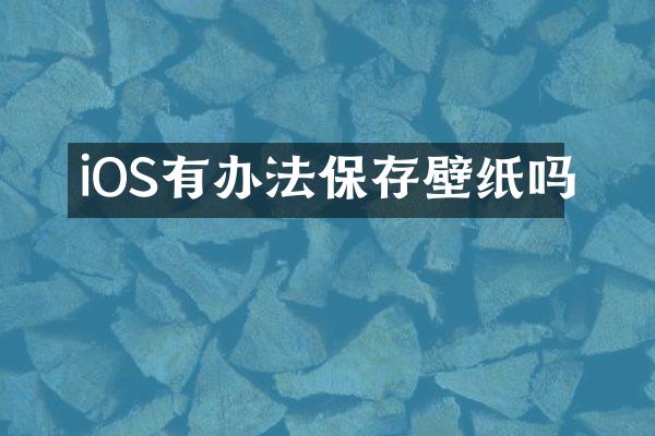 iOS有办法保存壁纸吗