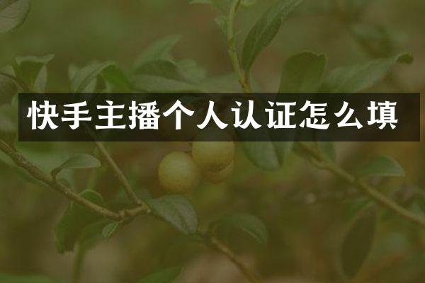 快手主播个人认证怎么填