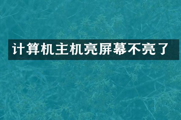 计算机主机亮屏幕不亮了