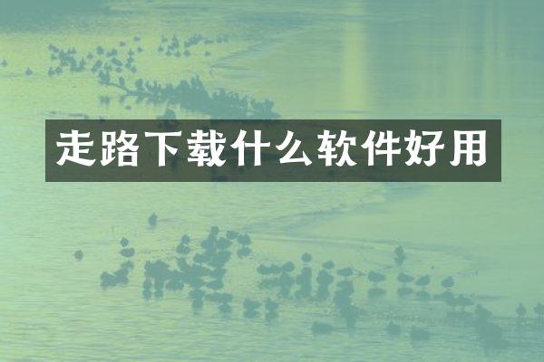 走路下载什么软件好用