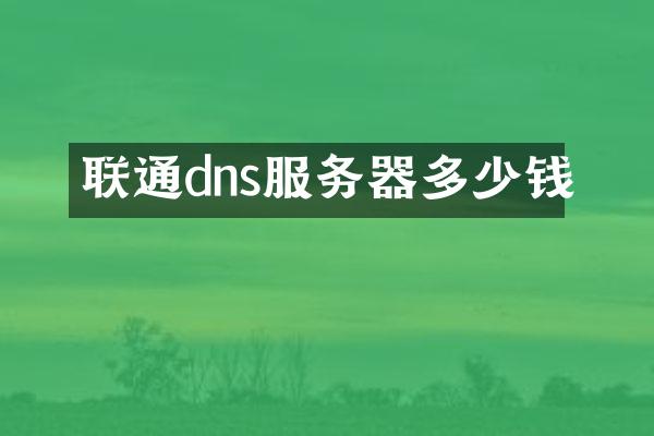 联通dns服务器多少钱