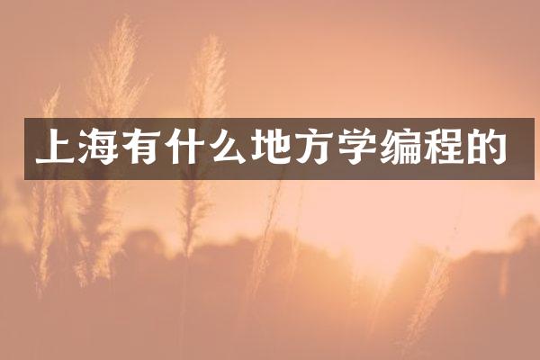 上海有什么地方学编程的