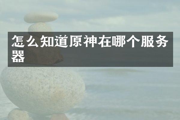 怎么知道原神在哪个服务器