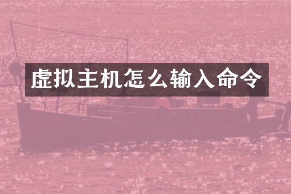 虚拟主机怎么输入命令