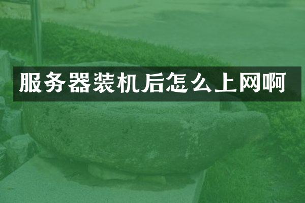 服务器装机后怎么上网啊