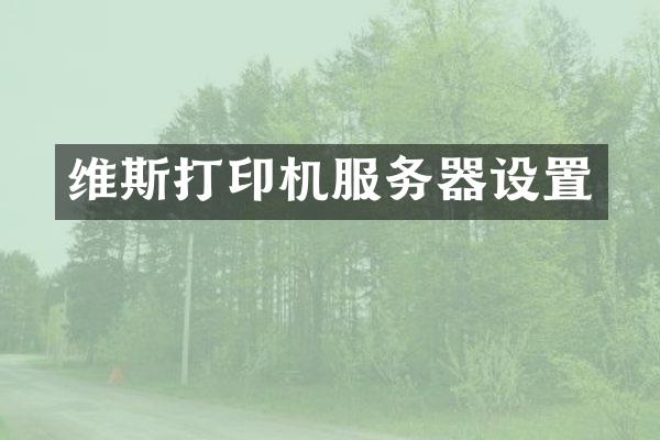 维斯打印机服务器设置
