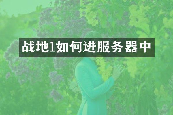 战地1如何进服务器中