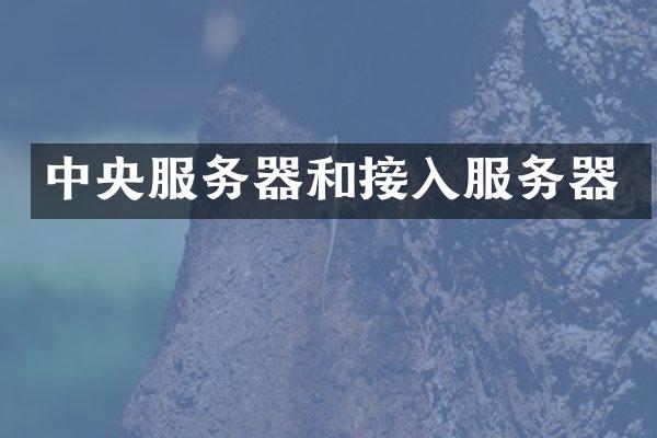 中央服务器和接入服务器