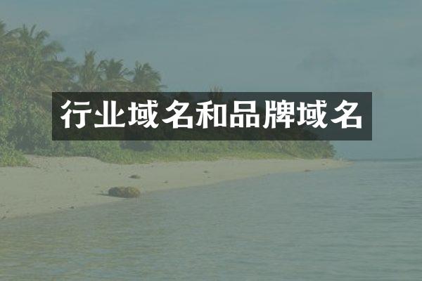 行业域名和品牌域名