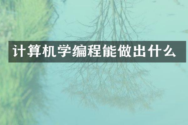计算机学编程能做出什么