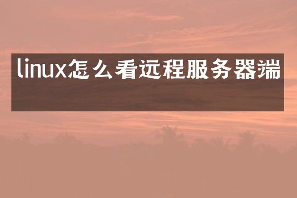 linux怎么看远程服务器端口