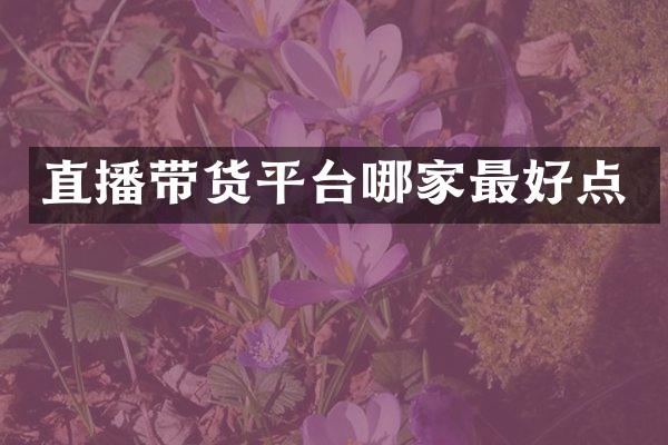 直播带货平台哪家最好点