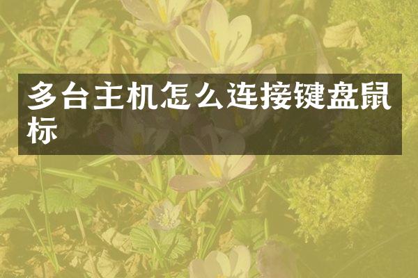 多台主机怎么连接键盘鼠标