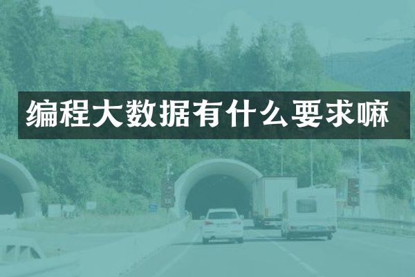 编程大数据有什么要求嘛