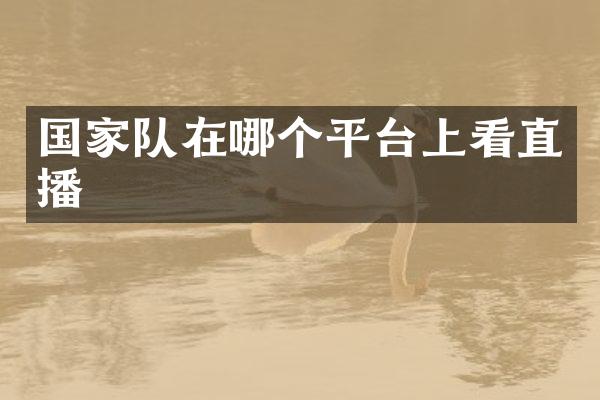 国家队在哪个平台上看直播