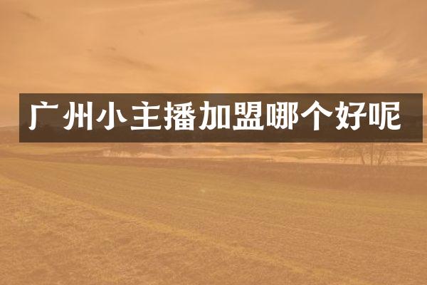 广州小主播加盟哪个好呢