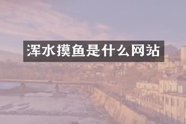 浑水摸鱼是什么网站