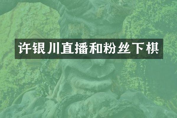 许银川直播和粉丝下棋