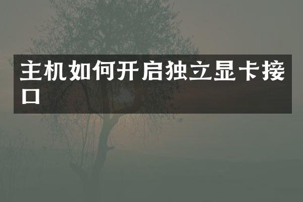 主机如何开启独立显卡接口