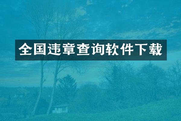 全国违章查询软件下载
