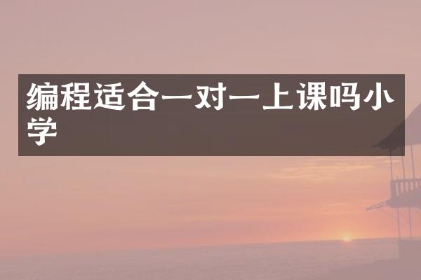 编程适合一对一上课吗小学