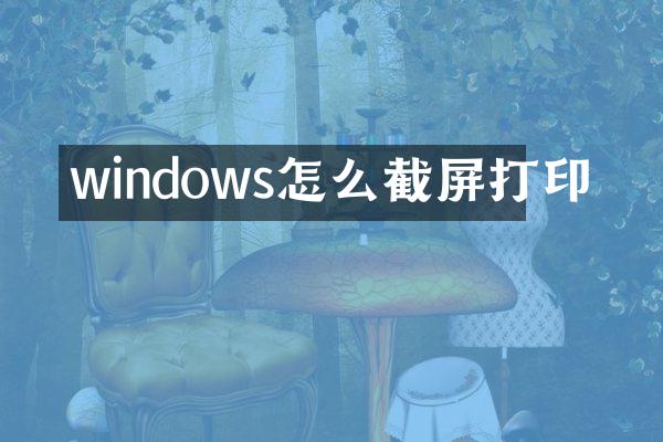 windows怎么截屏打印